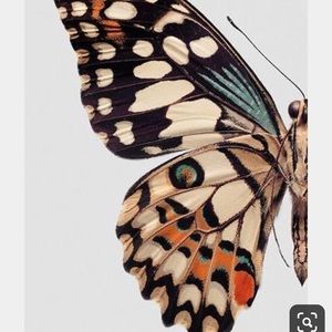 Meet your Posher, Lynn